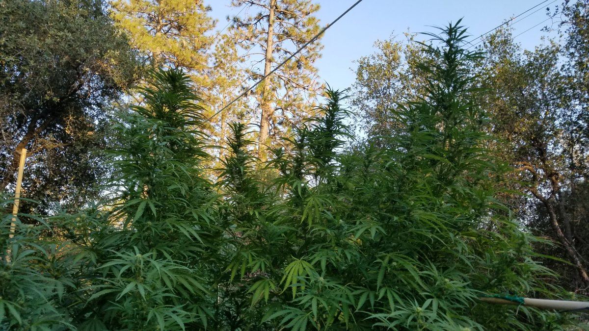 20180904 184958