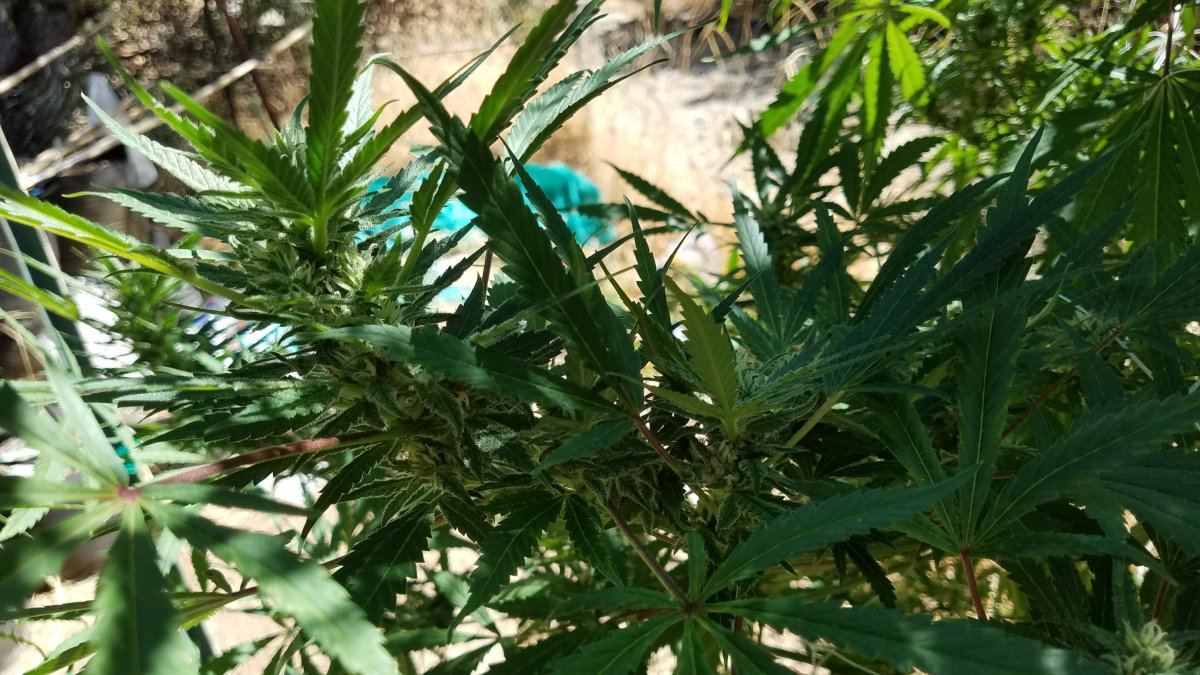 20180907 131408