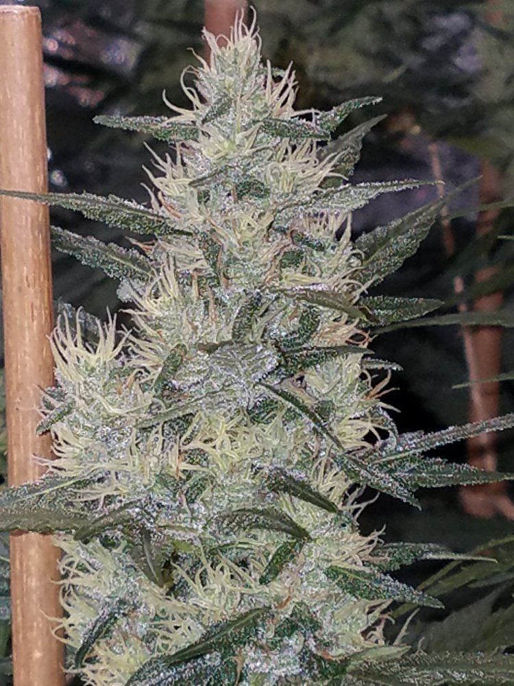 20180907 165059
