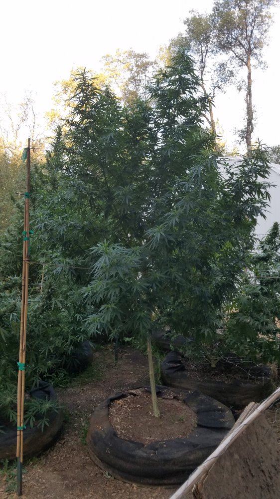20180913 071310