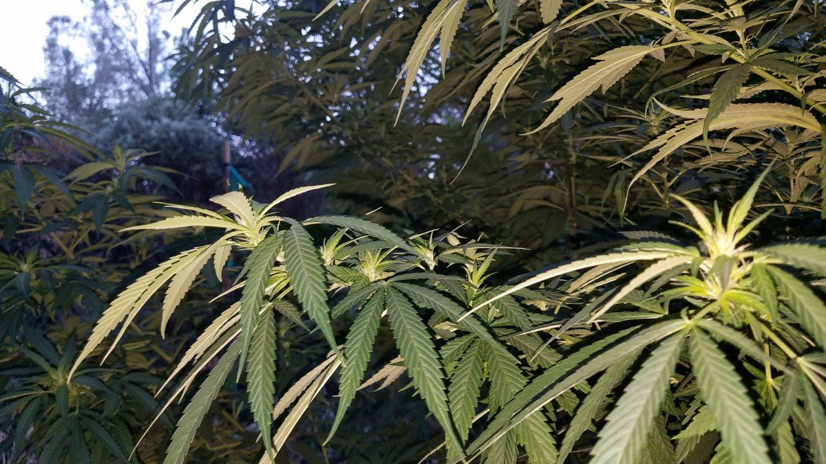20180914 064720