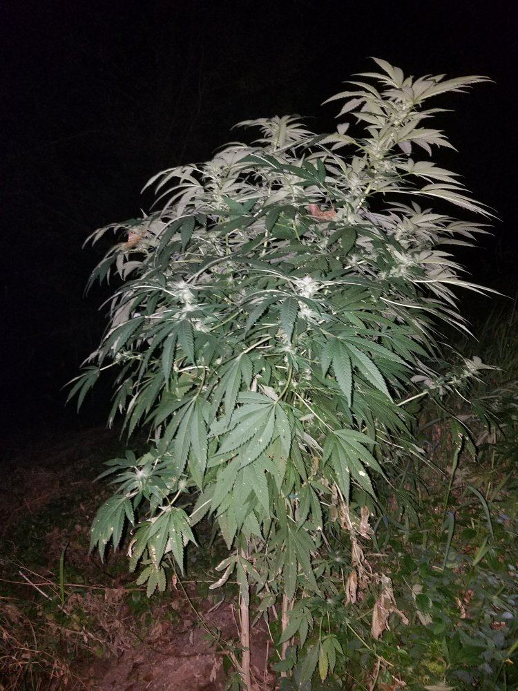 20180914 202534