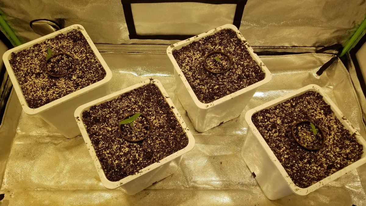 20180916 143823