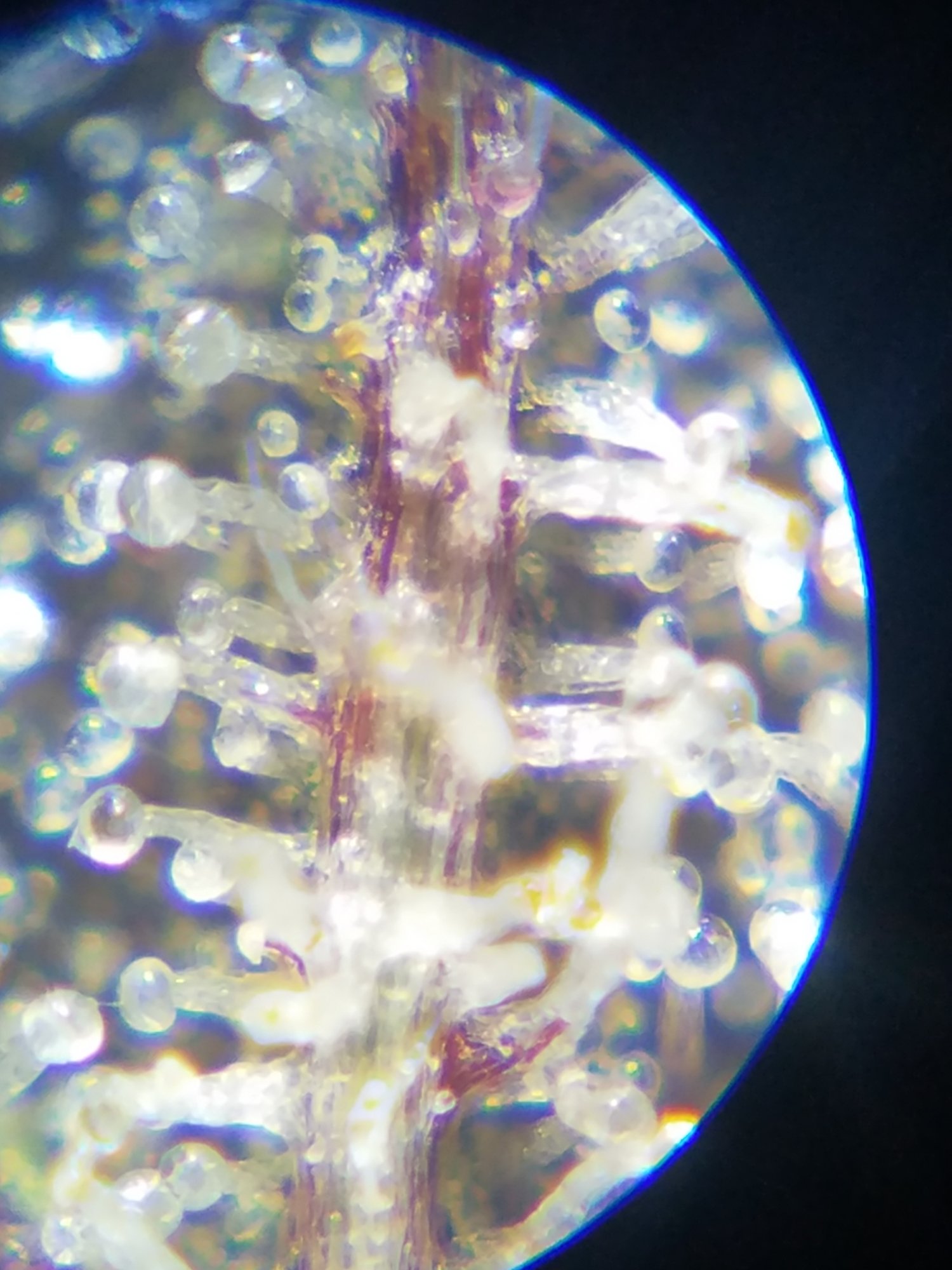 20180919 170812