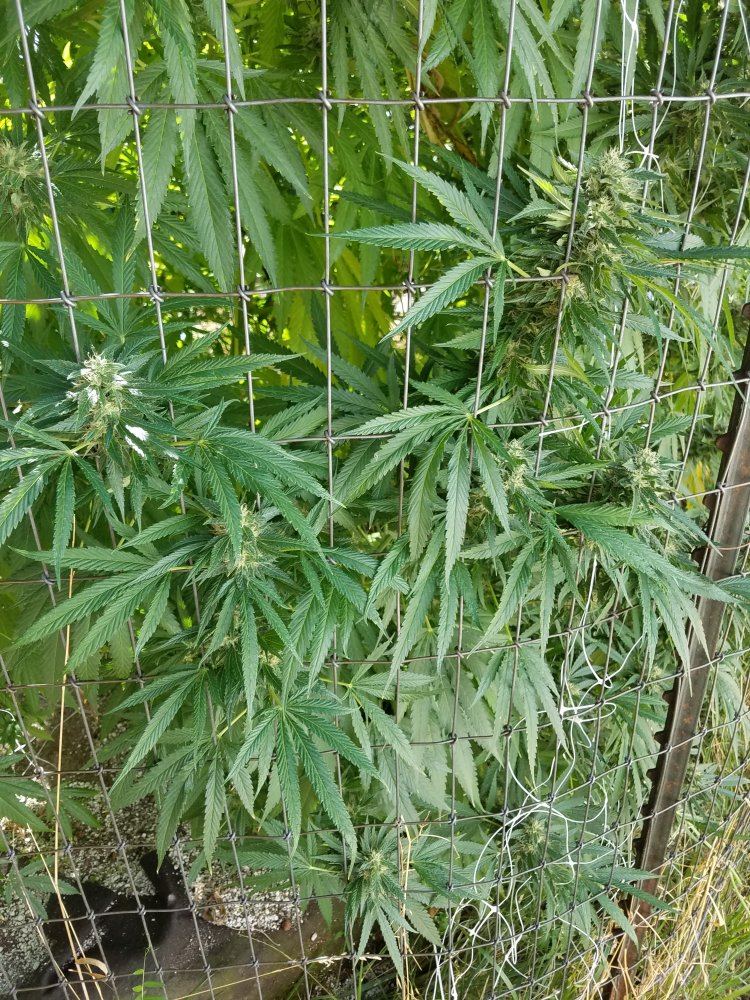 20180921 123058