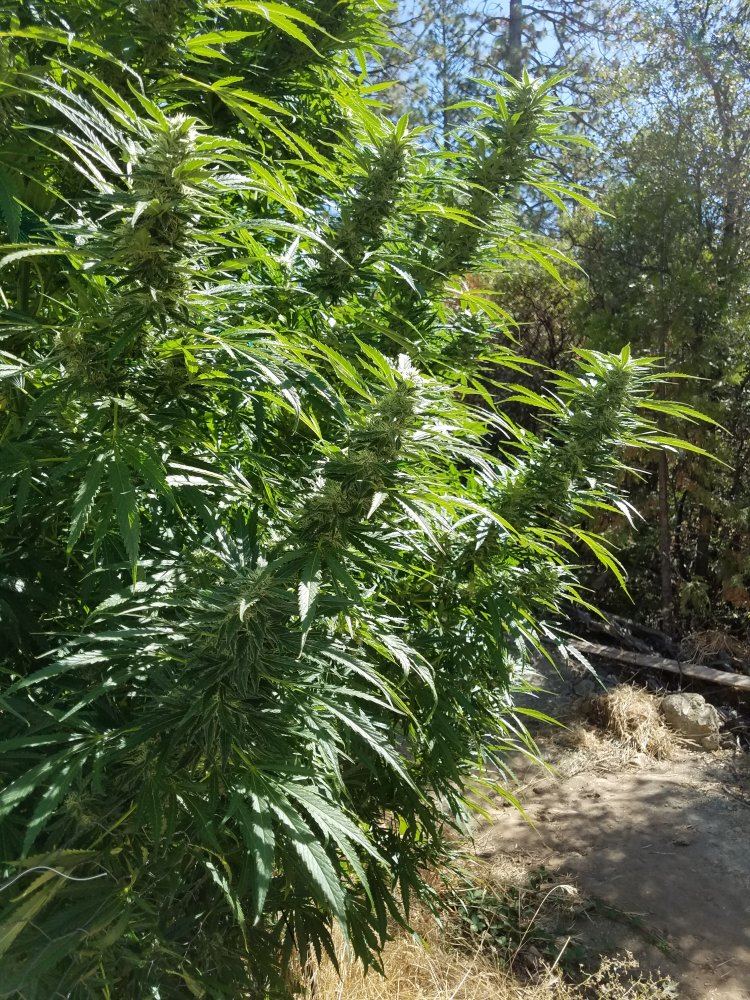 20180921 123149
