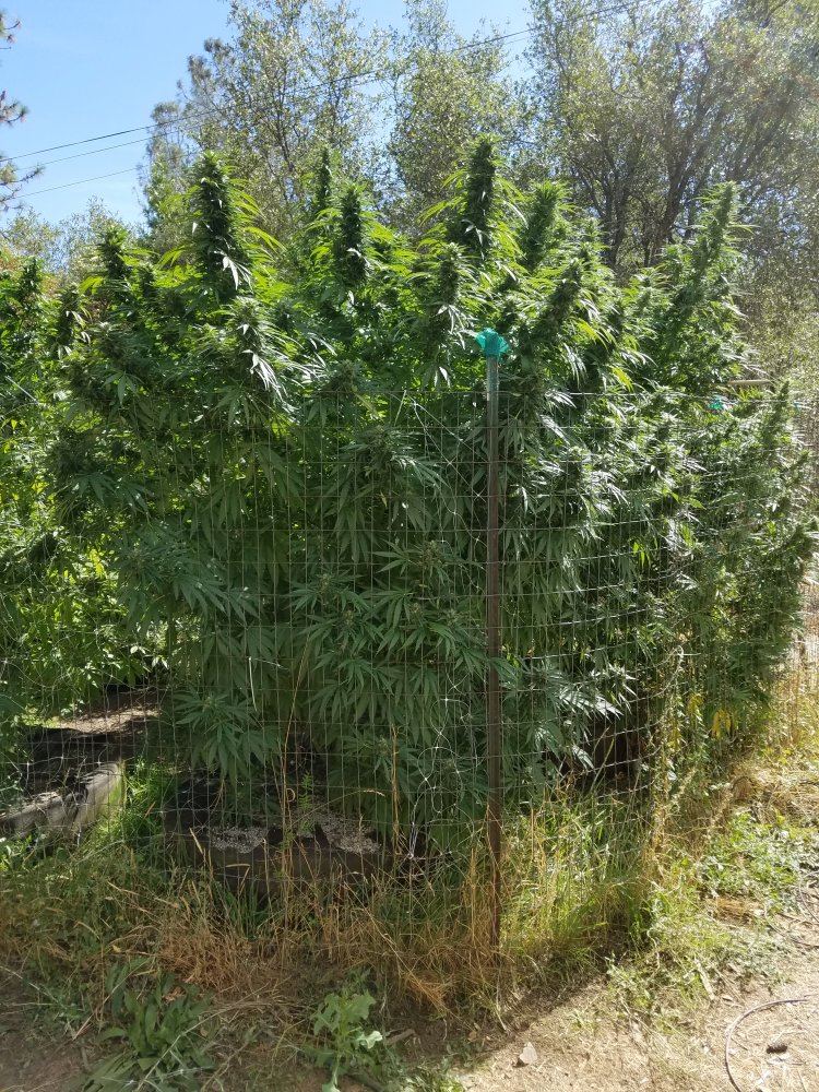 20180922 142308