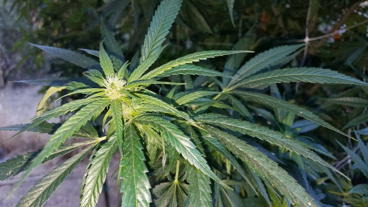 20180926 074808