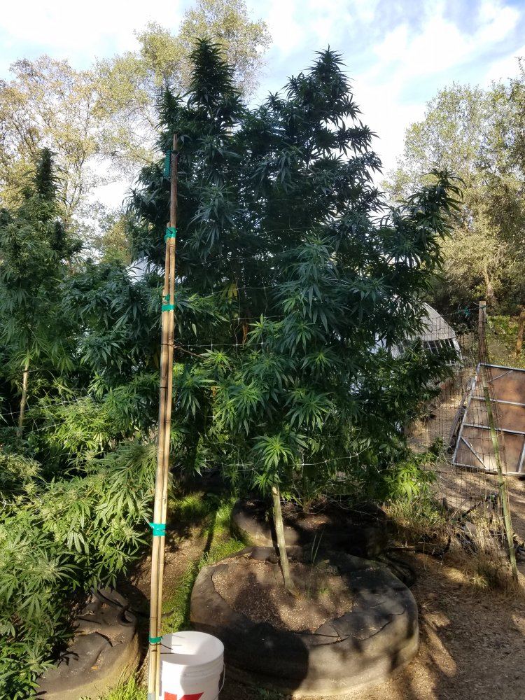 20180929 090952