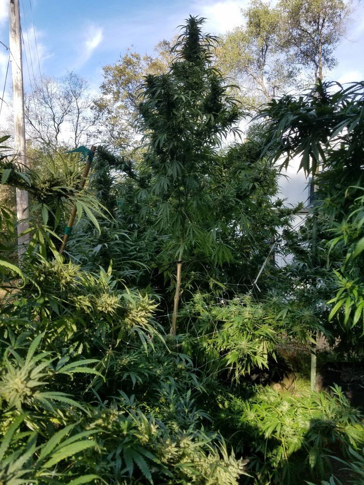 20180929 091102