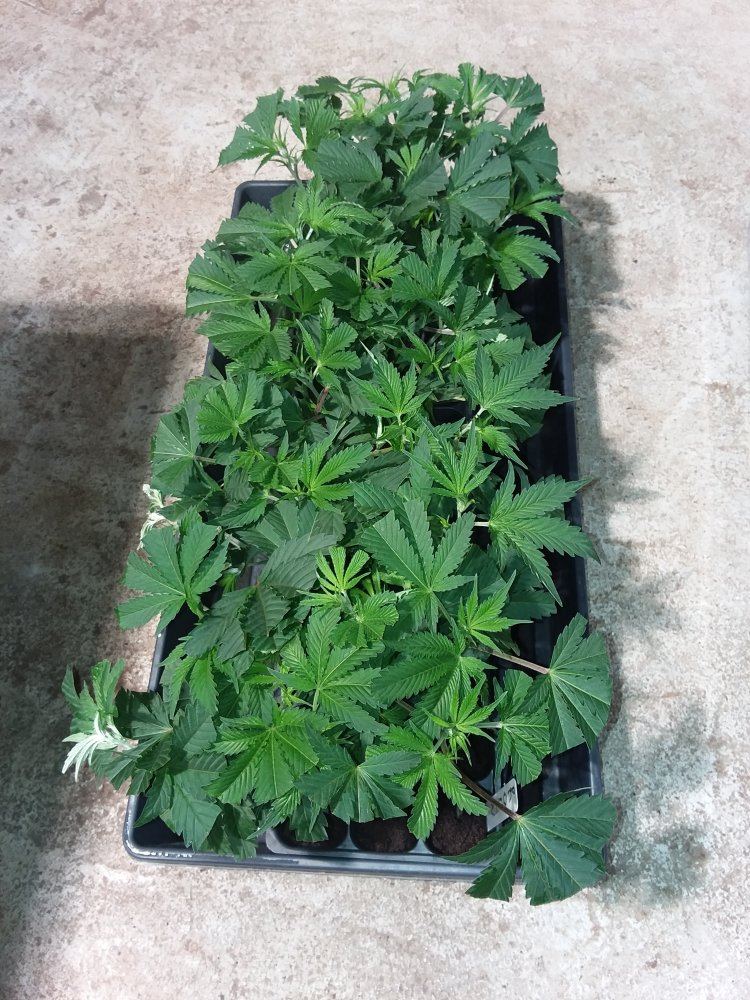 20180929 133409