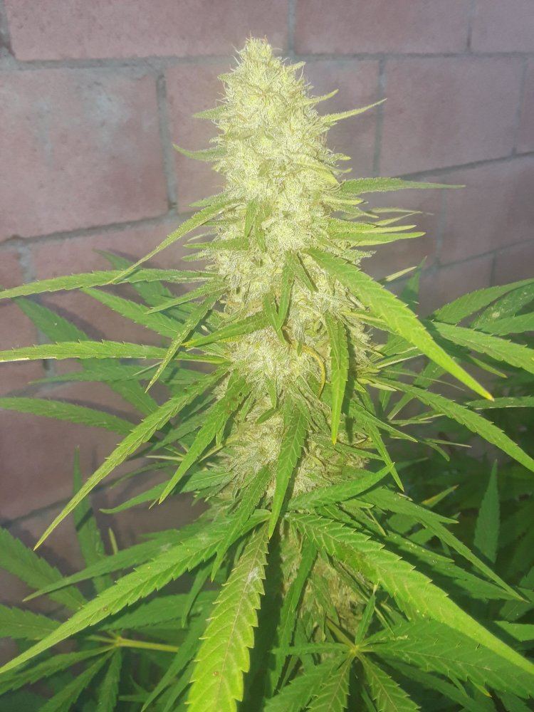 20181001 070148