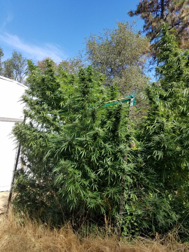20181002 113624