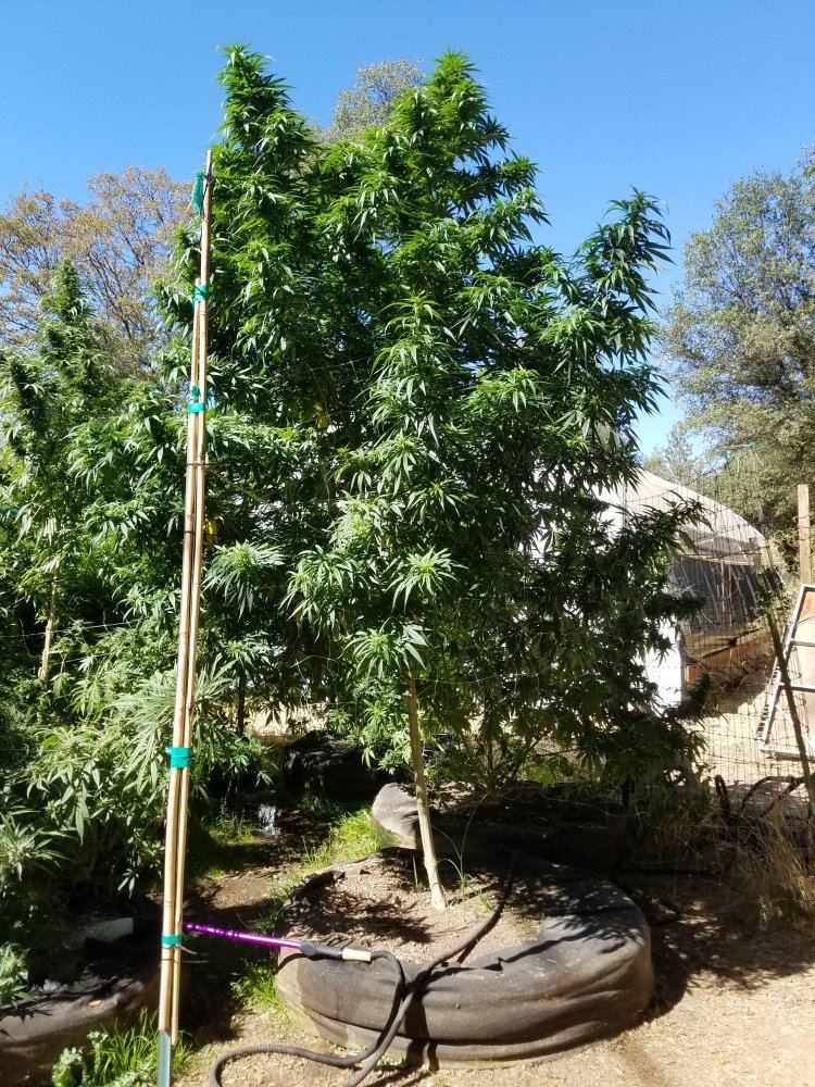 20181002 122047