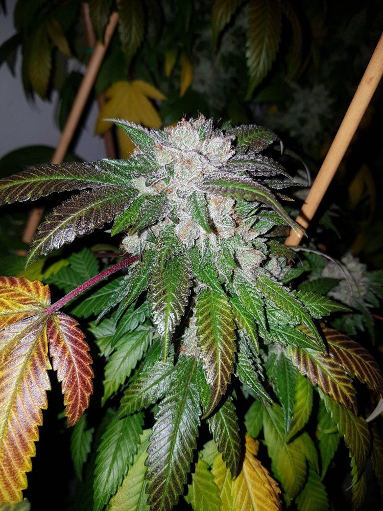 20181003 145046
