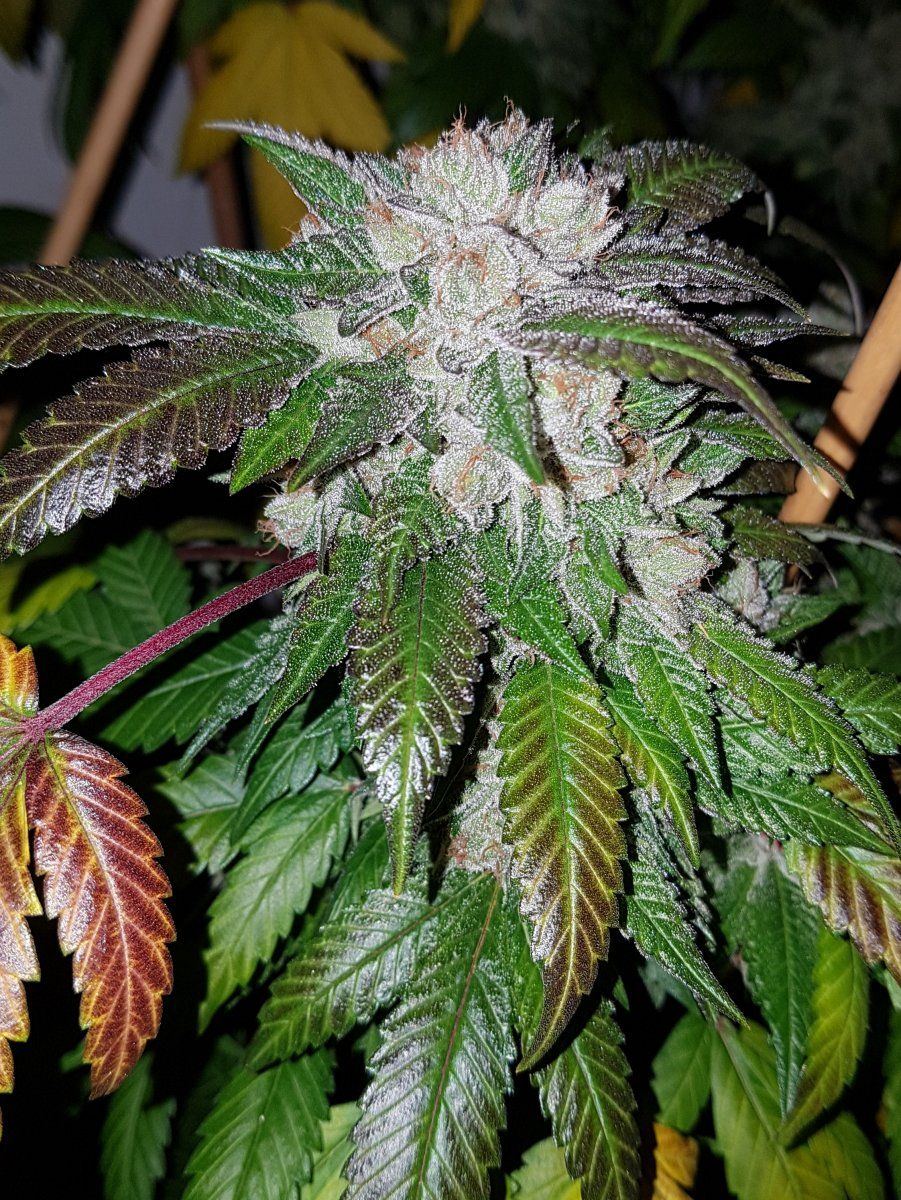 20181003 145402