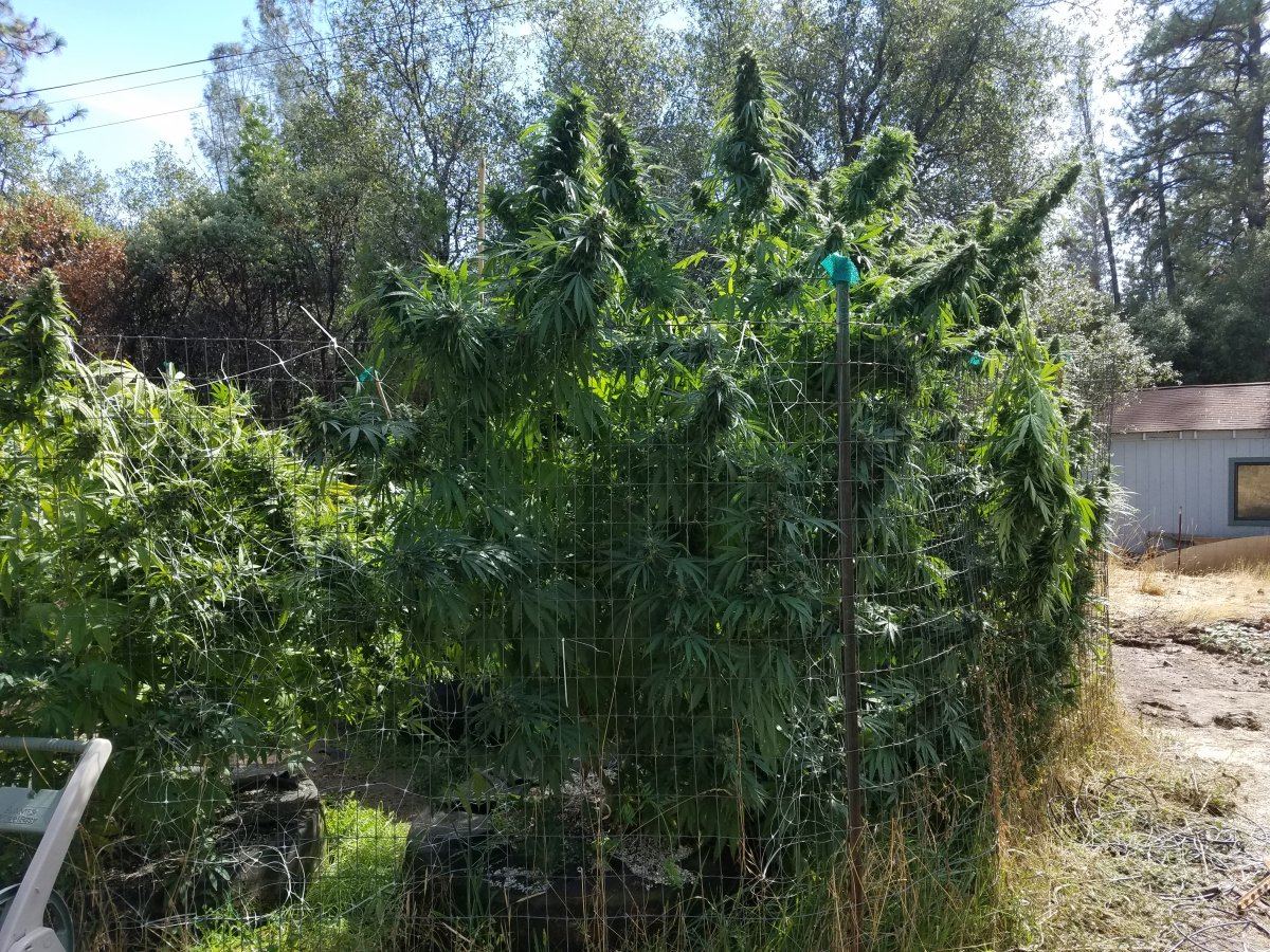 20181005 143412