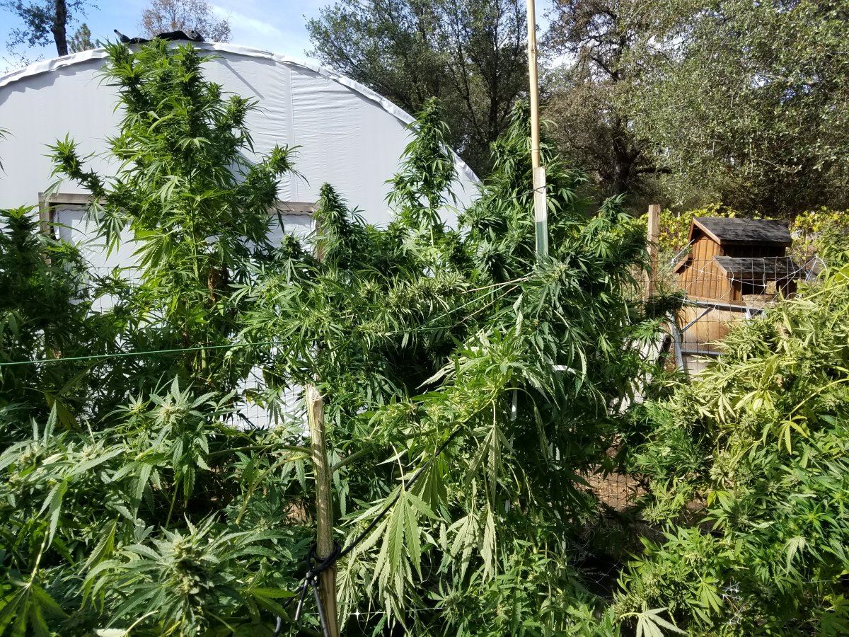 20181005 143517