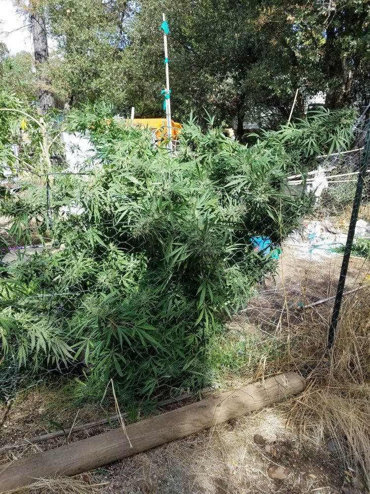 20181005 143532