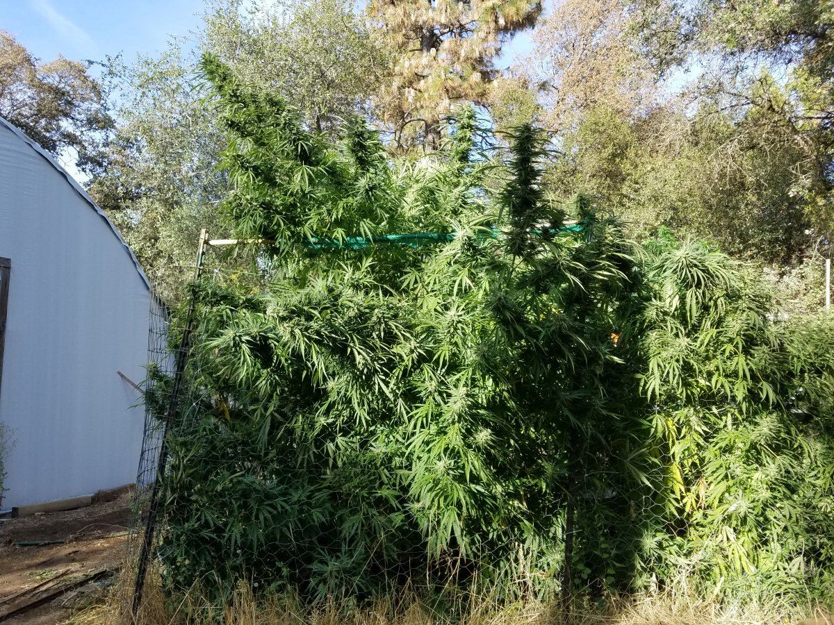 20181005 164552