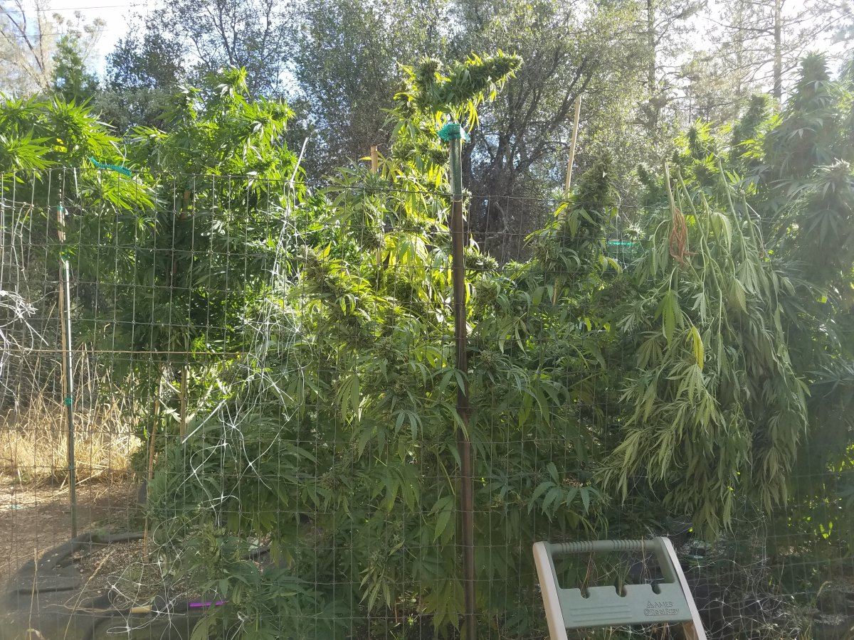 20181005 164643