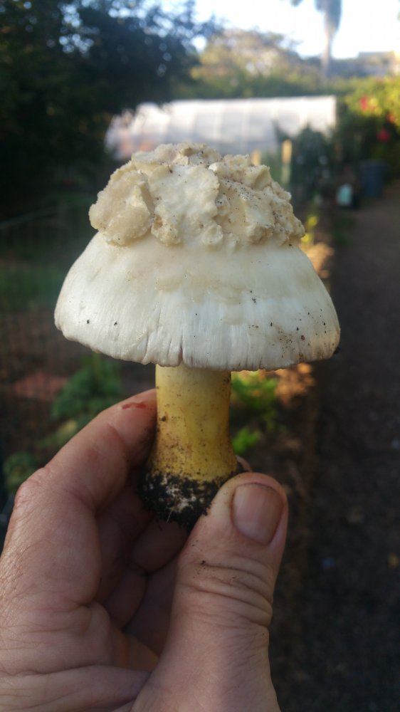 20181005 201552