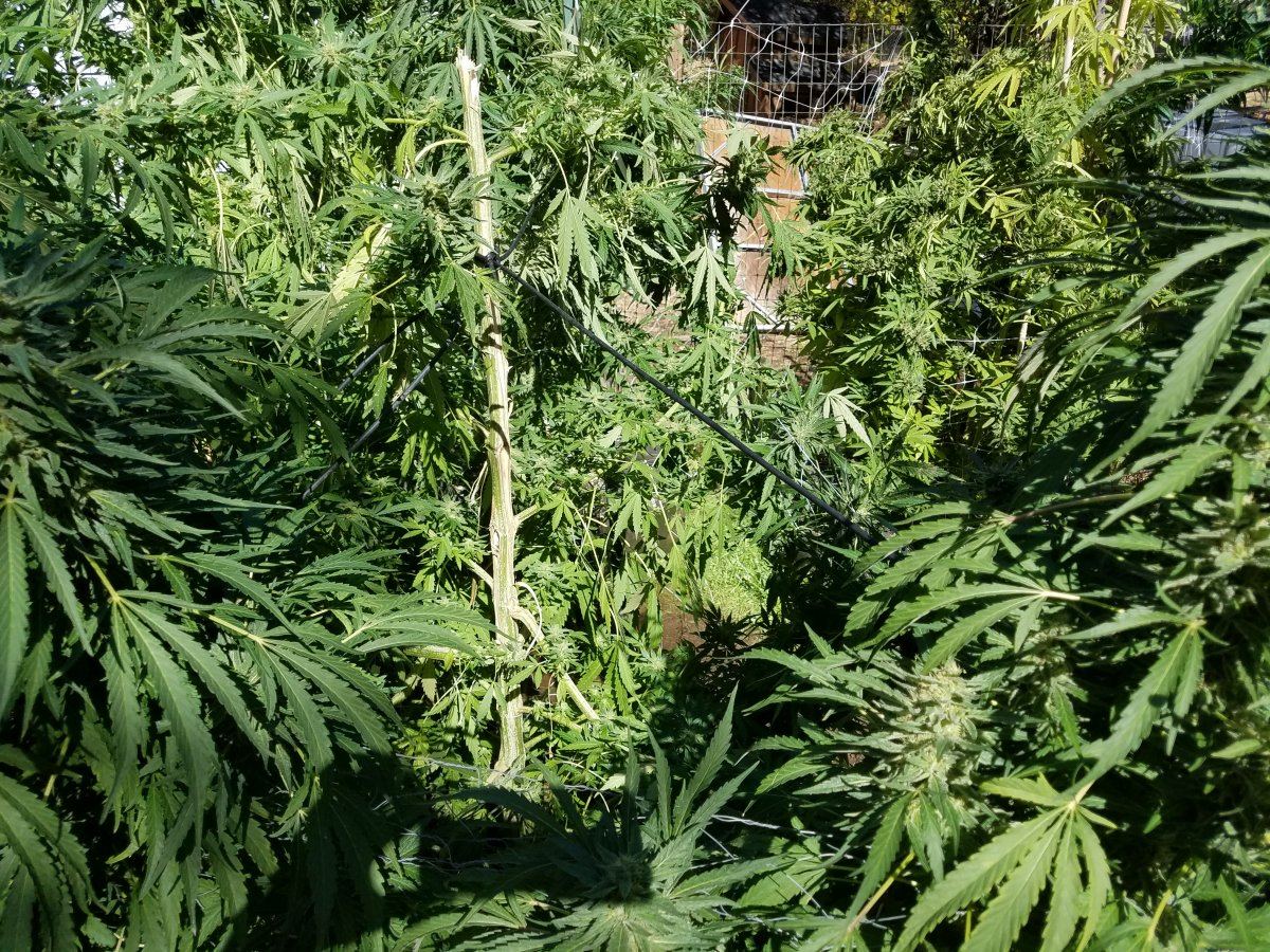 20181006 113832