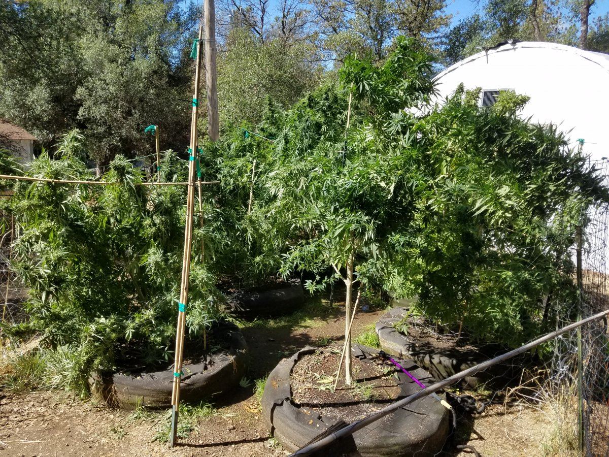 20181006 114204