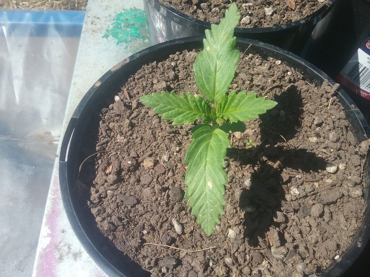 20181006 115834
