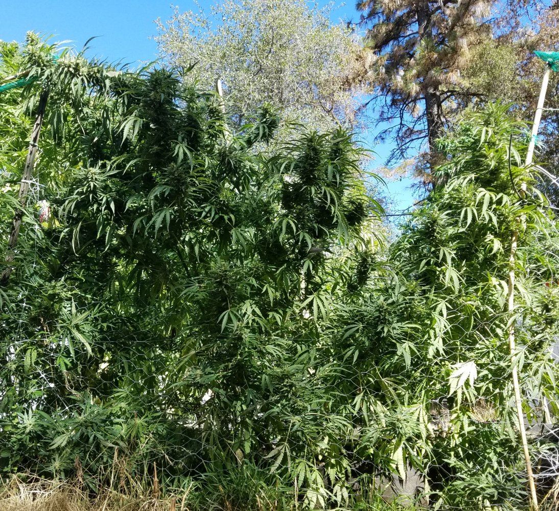 20181006 143440