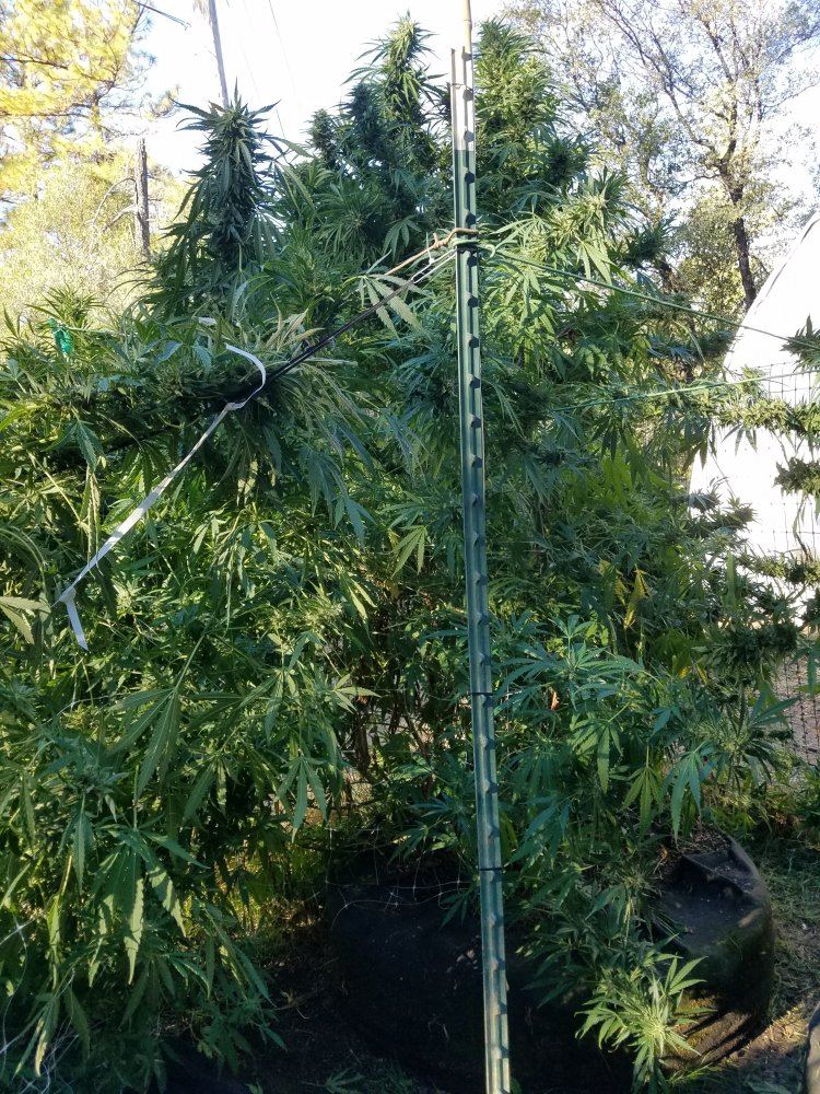 20181007 092354
