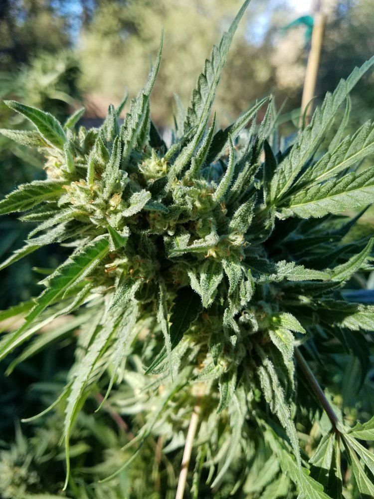20181007 092435