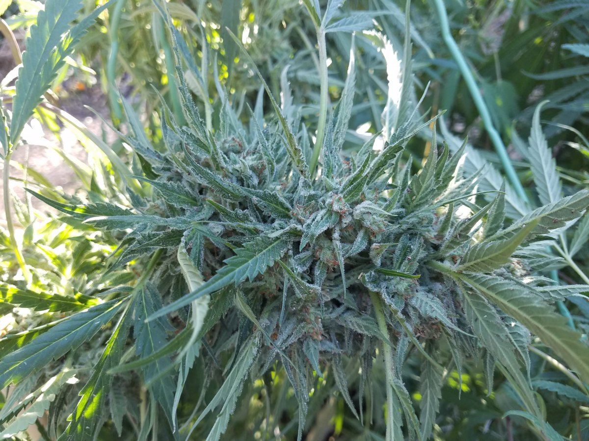 20181007 092504