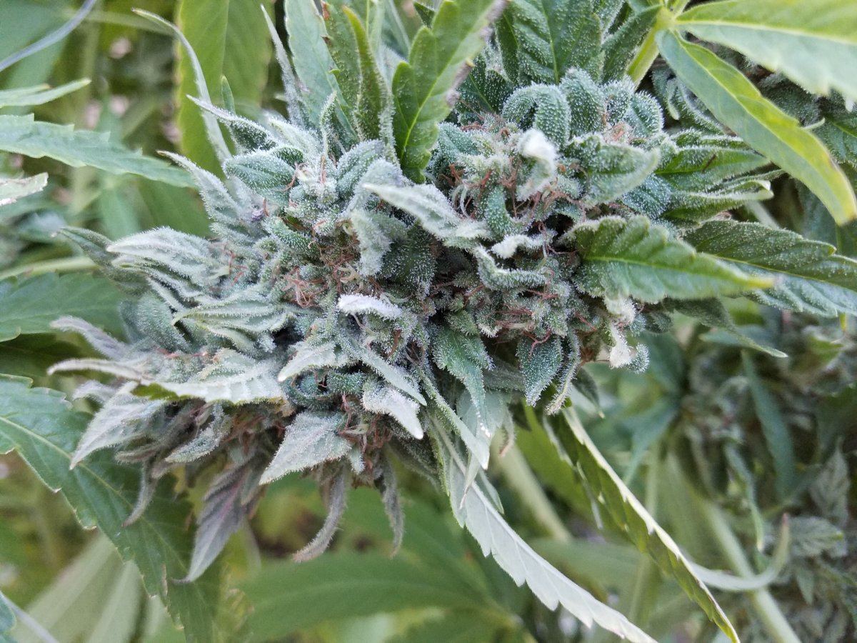 20181007 092903