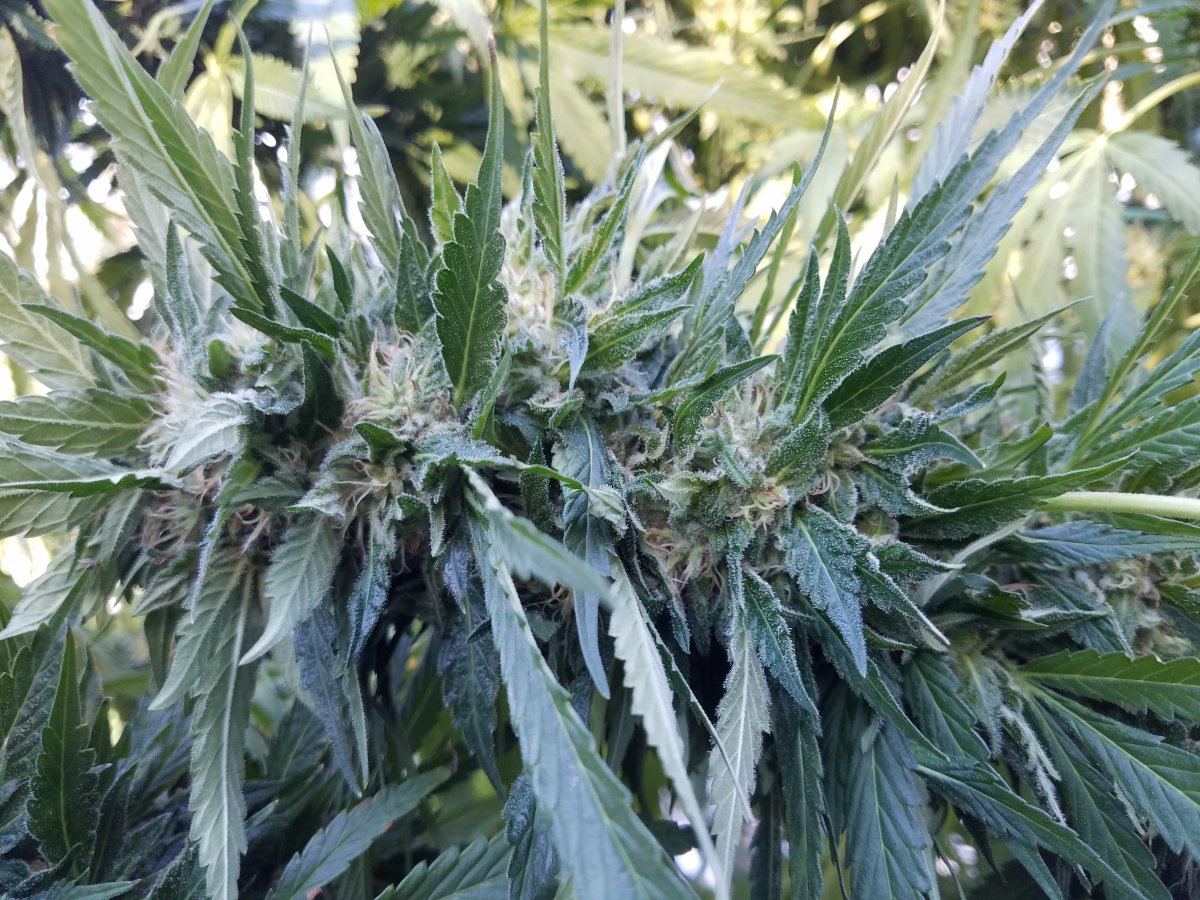 20181007 093035