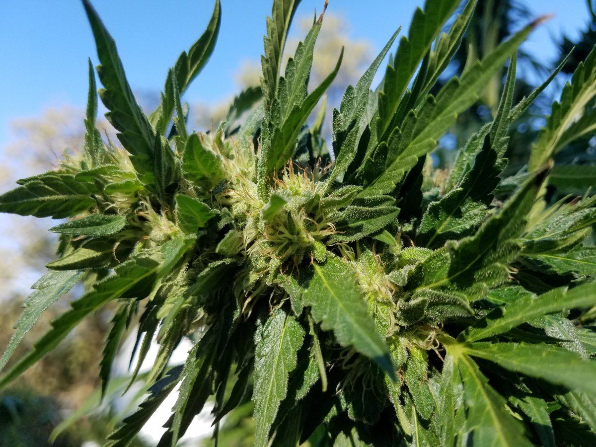 20181007 093143