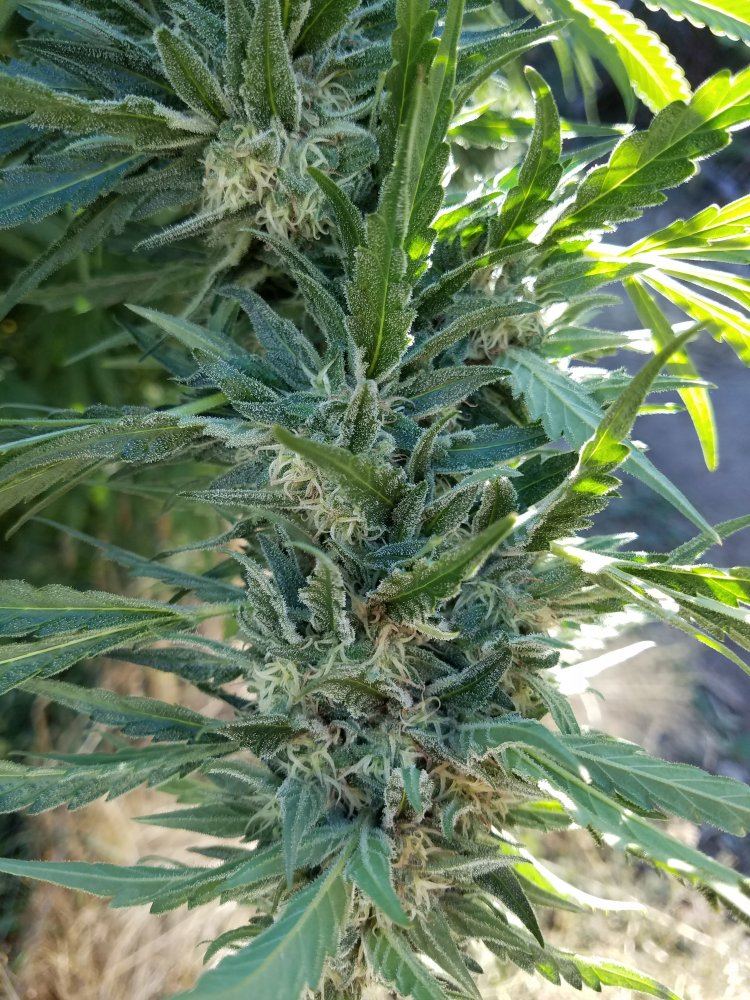 20181007 093435