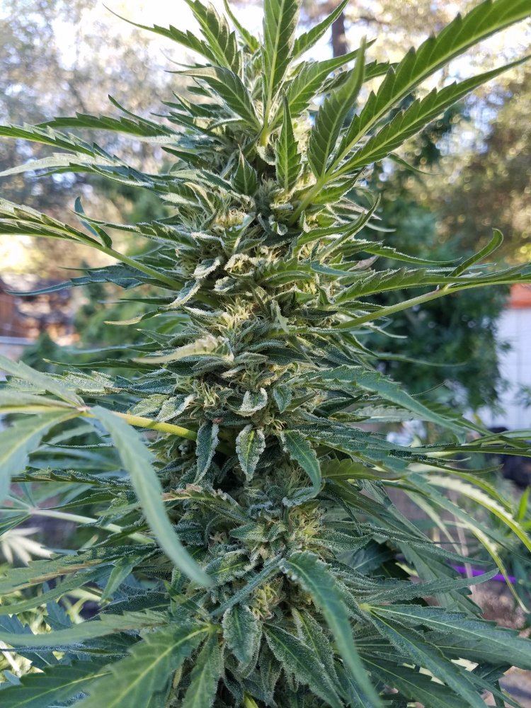 20181007 093823