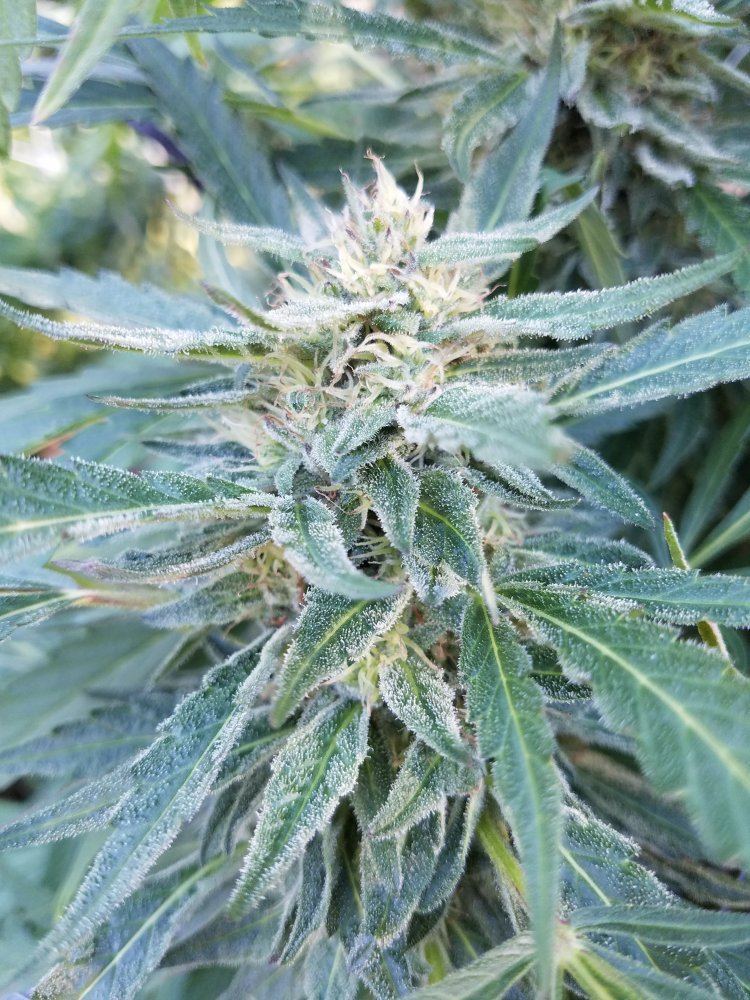 20181007 093844