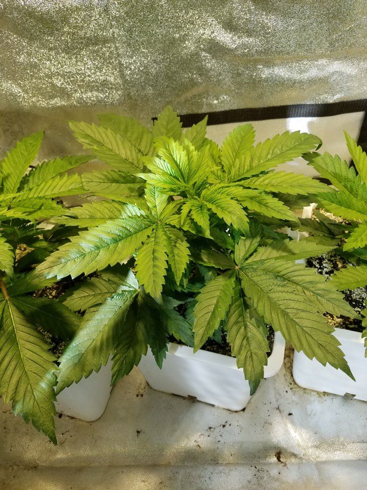 20181007 095657