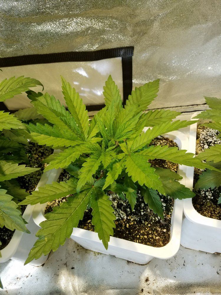 20181007 095708
