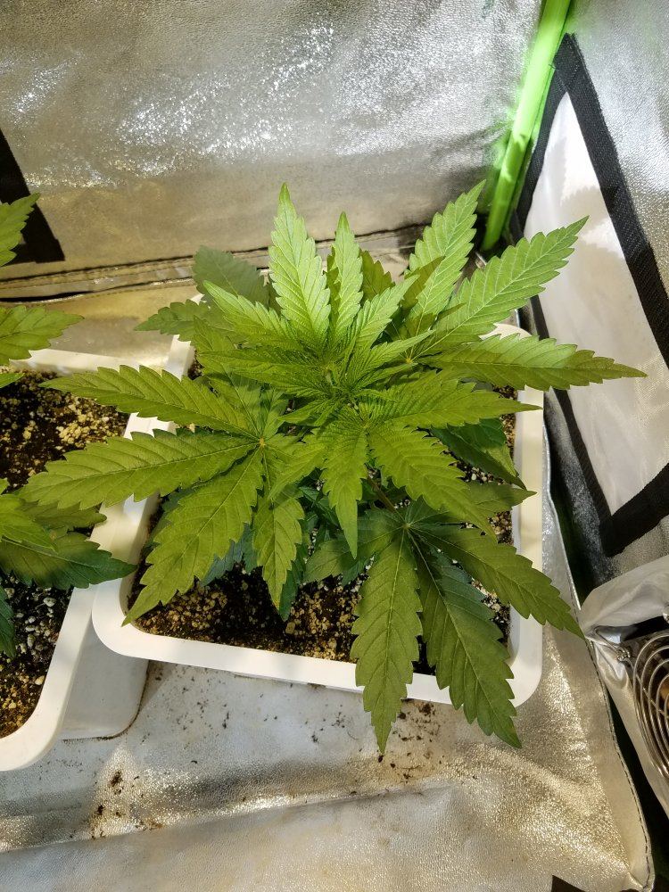 20181007 095845