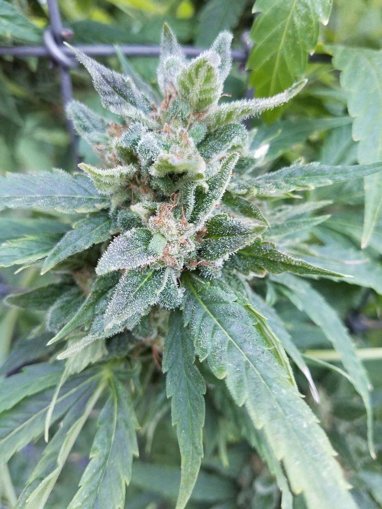 20181008 073101