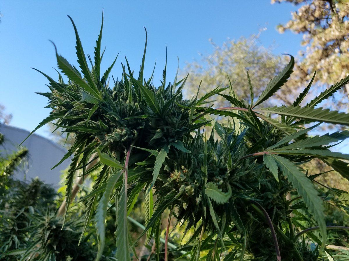 20181009 160433