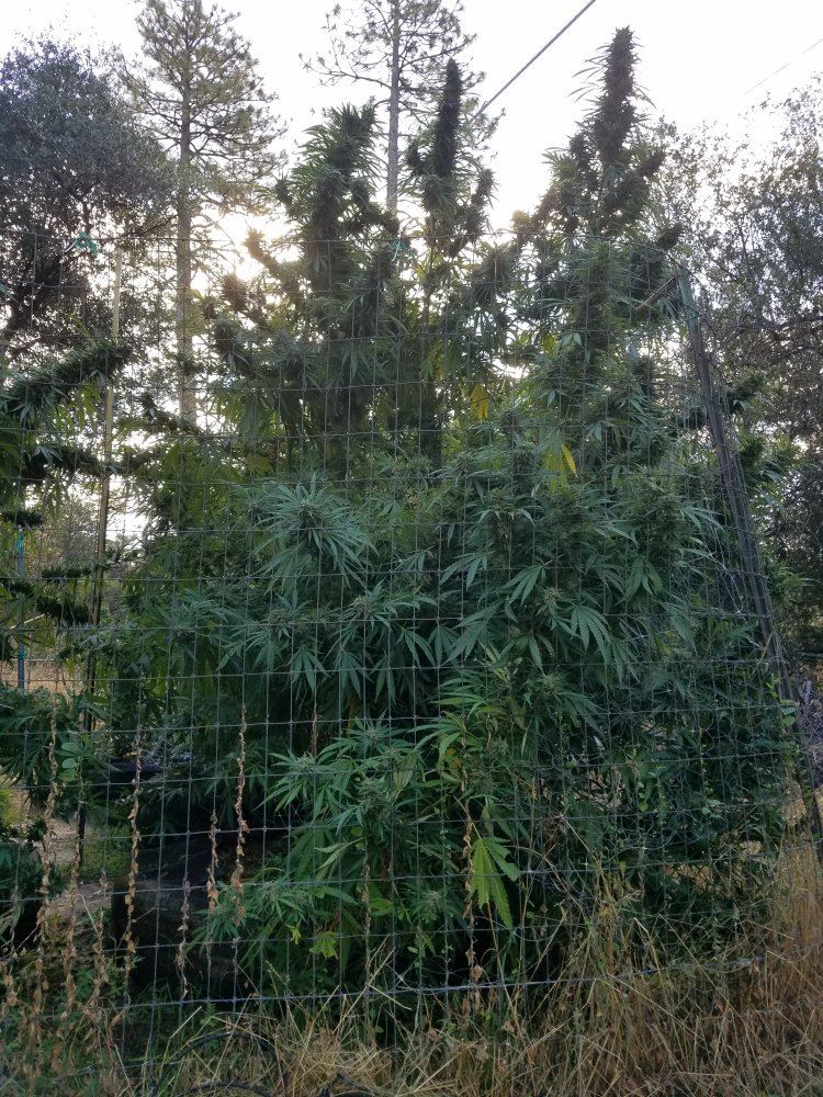 20181010 093538