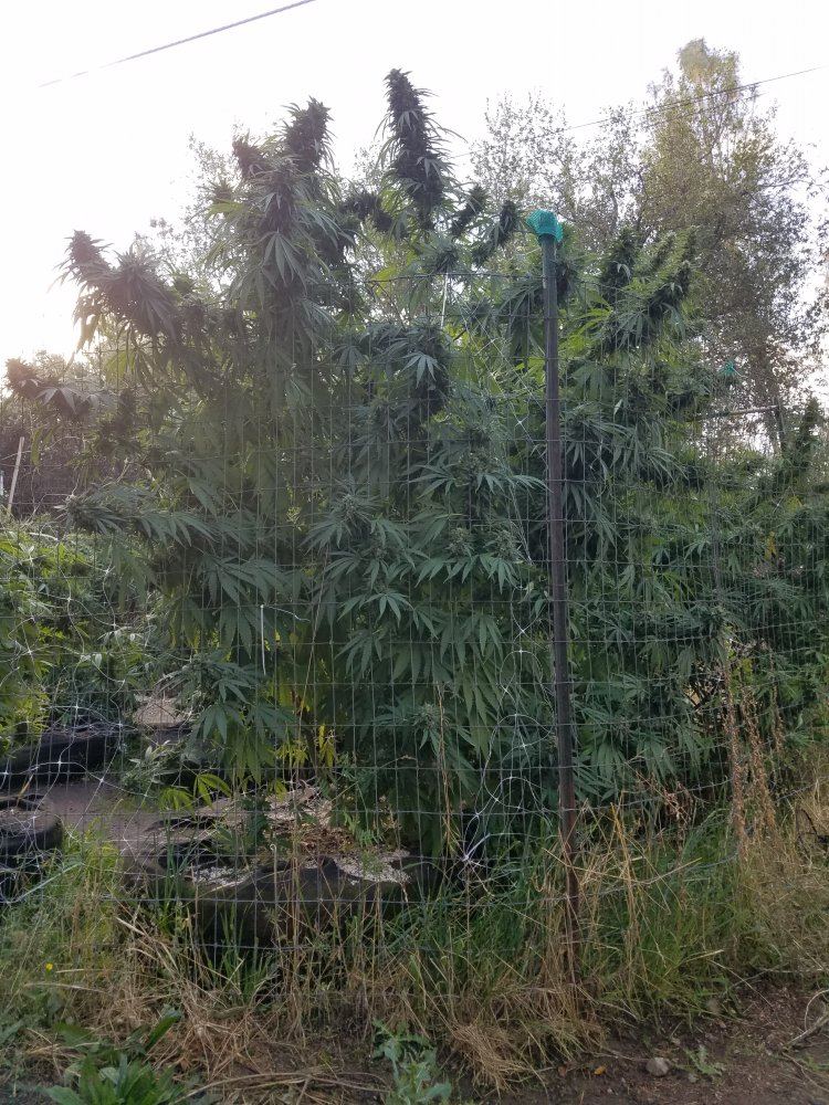 20181010 093559
