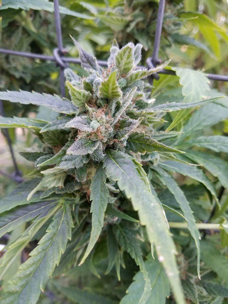 20181010 094257