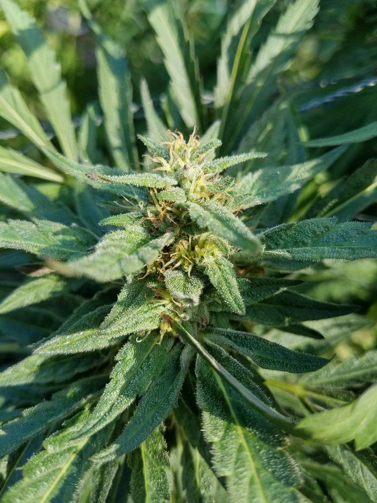 20181010 094927