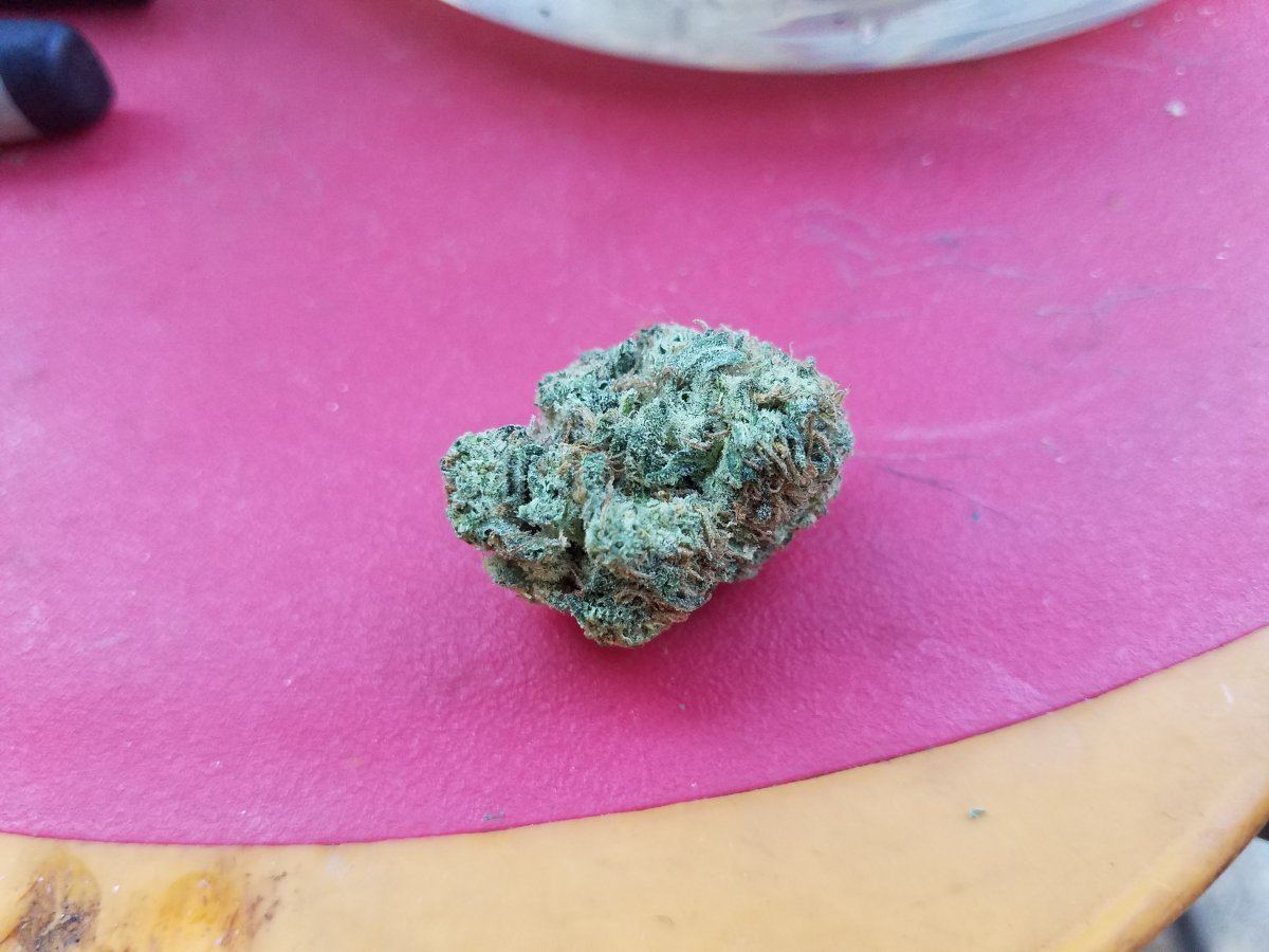 20181010 171045 002 01