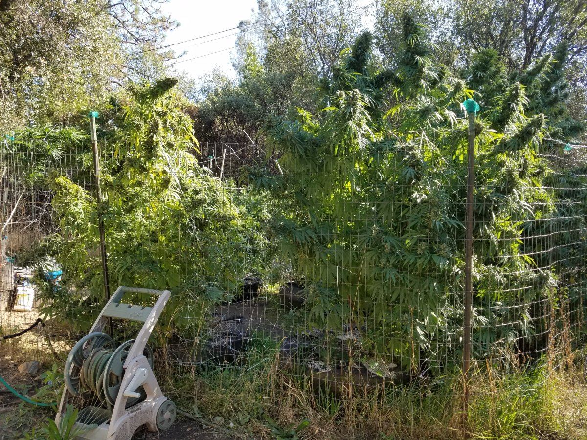 20181011 152610